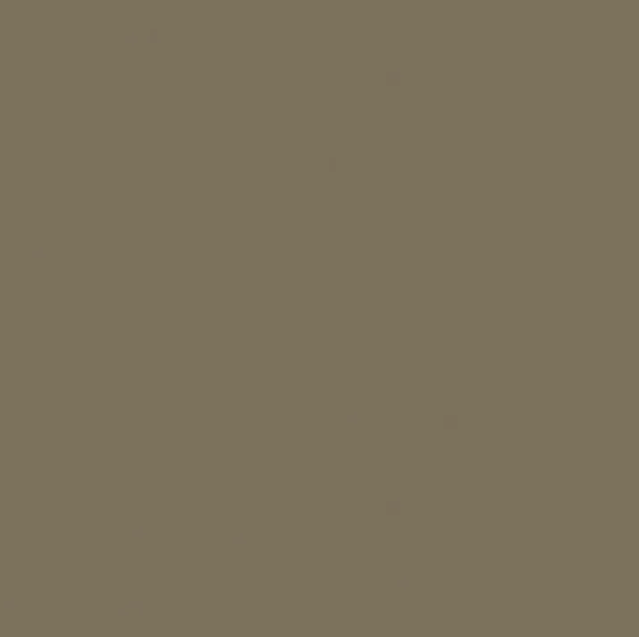 L2201-SC-18 SC Taupe dekor