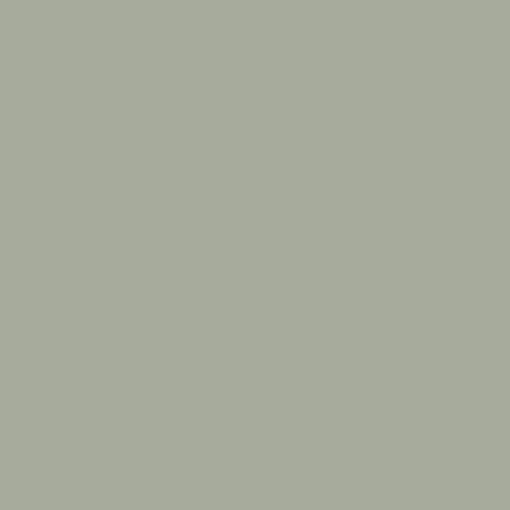 D259 PS74 Soft Mat / PS30 festett Ash Green dekor