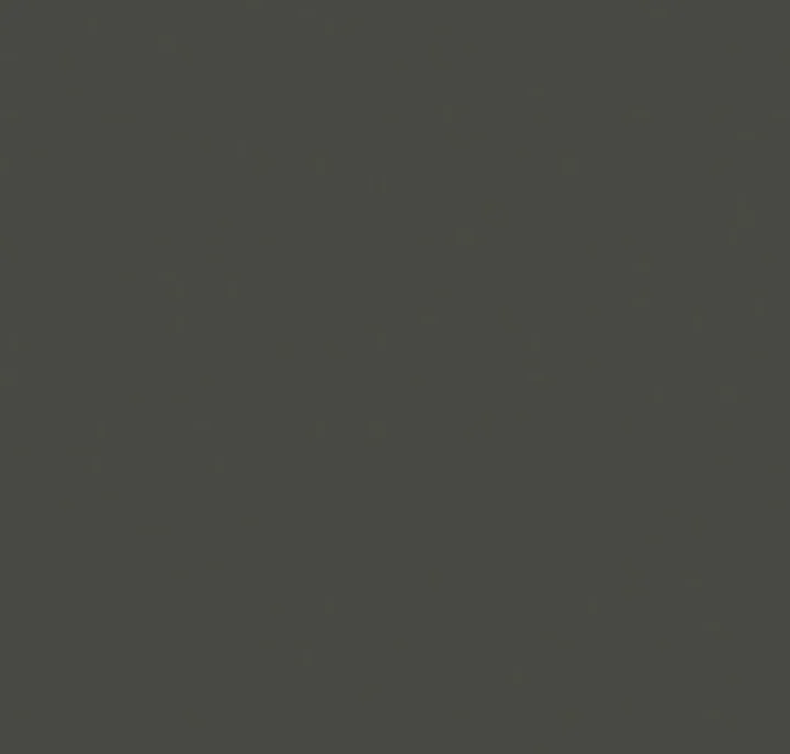 L167-SC-18 SC Dark Grey dekor