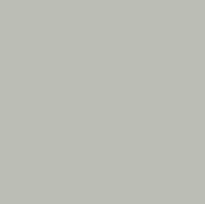 L021-SC-18 SC Pearl Grey dekor