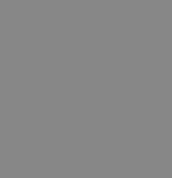 L06002-SC-18 SC Galet Grey dekor